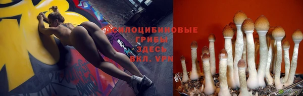 прущий лед Гусиноозёрск
