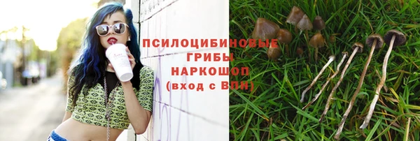 гидра Гусь-Хрустальный