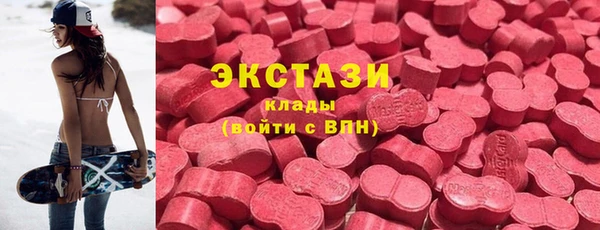 гидра Гусь-Хрустальный