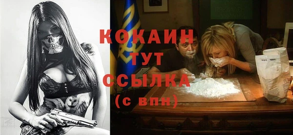 гидра Гусь-Хрустальный