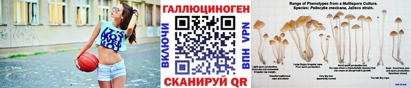 Псилоцибиновые грибы Psilocybe  Юрьев-Польский 
